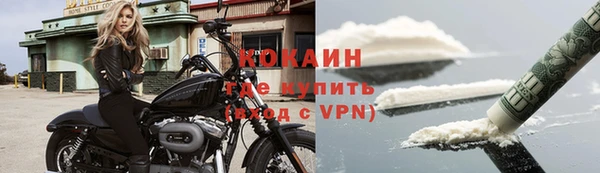 спиды Алзамай