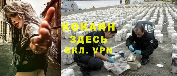сатива Алексин