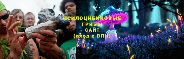 сатива Алексин