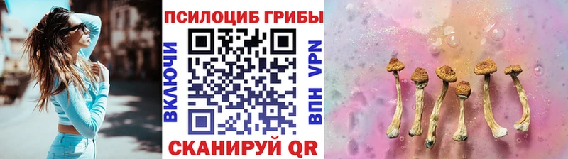 Псилоцибиновые грибы мухоморы Бирск