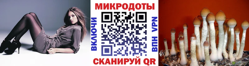 наркошоп Бирск Псилоцибиновые грибы Psilocybine cubensis